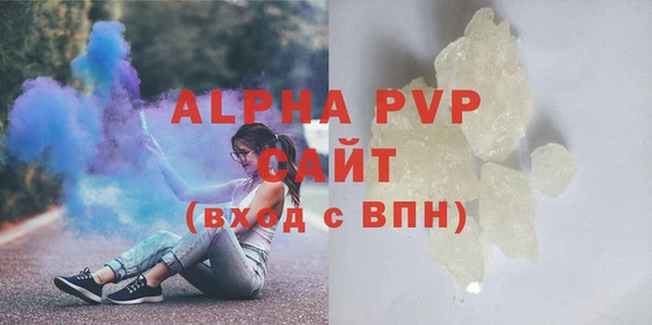 стафф Осташков