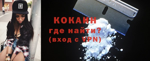 стафф Осташков