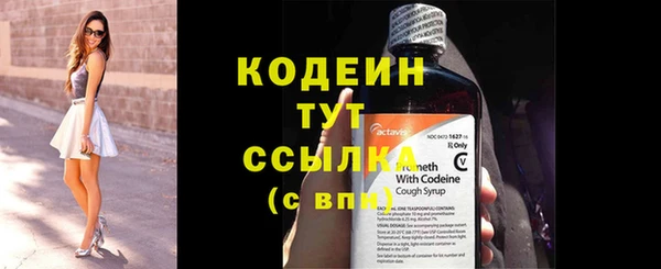 стафф Осташков