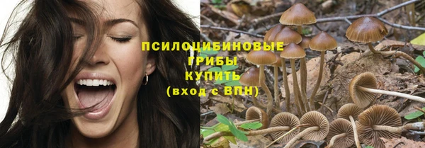 кокс Осинники