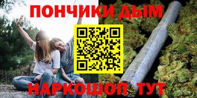 Альфа ПВП Бийск