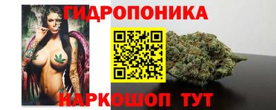 стафф Берёзовский