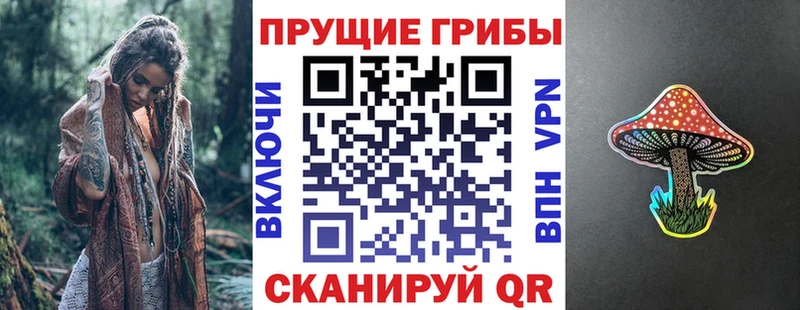 Псилоцибиновые грибы Psilocybe  Отрадное 